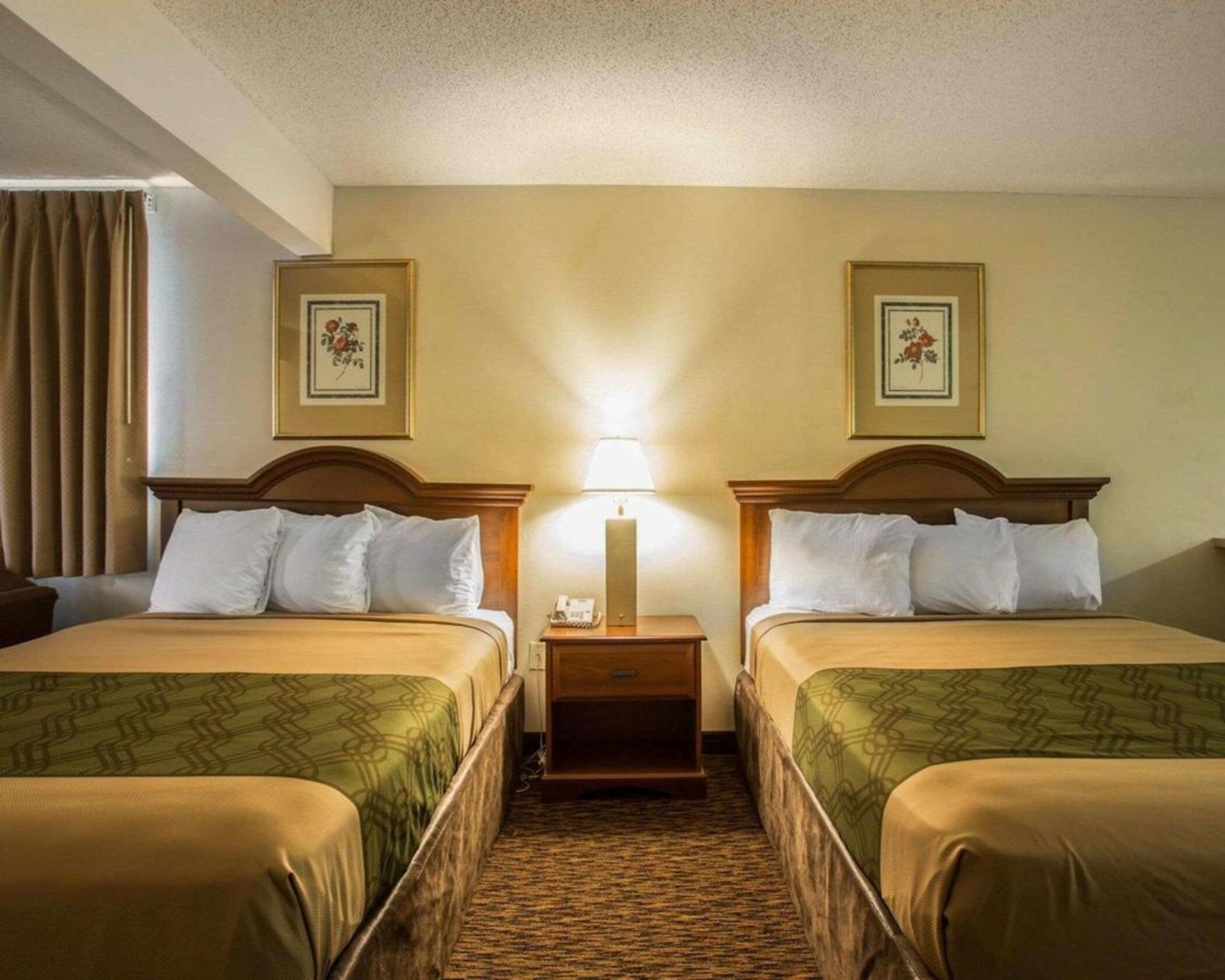 Econo Lodge Inn & Suites Lugoff Bagian luar foto